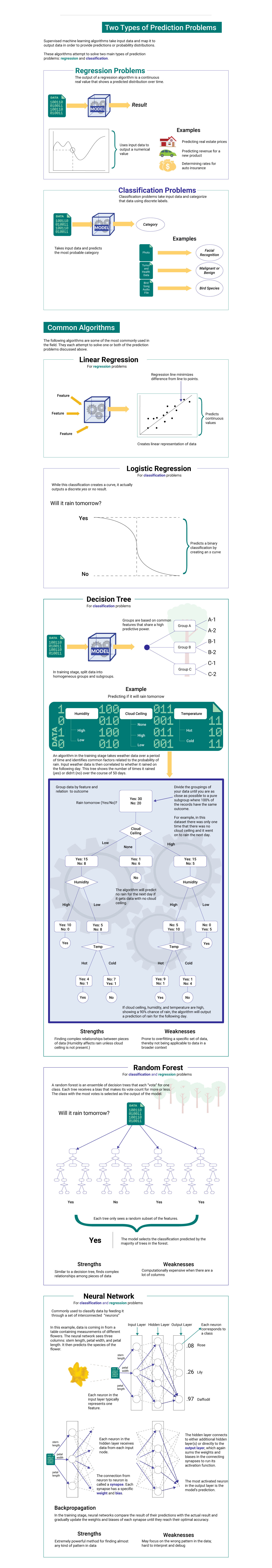 Machine Learning Infographic