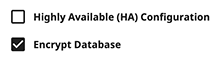 Alt: The “Highly Available” setting is unchecked, and the “Encrypt Database” setting is checked.